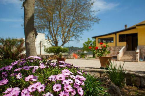 Bed & Breakfast Villa Marida