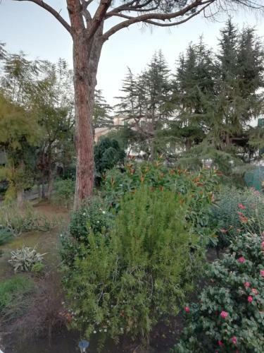 Apartamento Etna Mare Jonio