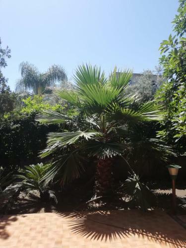 Apartamento Etna Mare Jonio