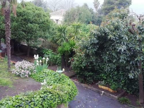 Apartamento Etna Mare Jonio