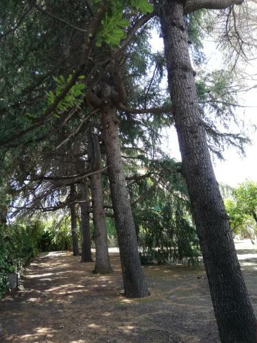 Apartamento Etna Mare Jonio