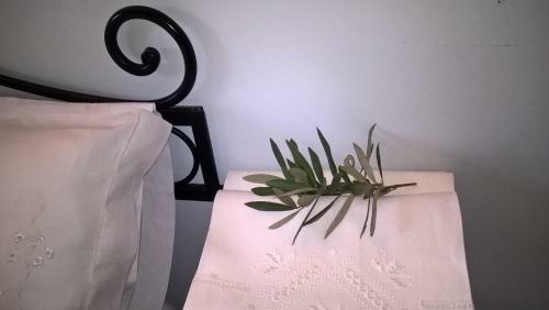Bed & Breakfast Villa Amalia