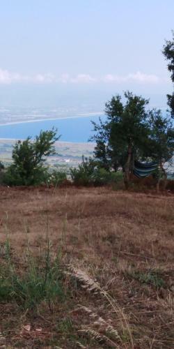 Calabria Incontaminata