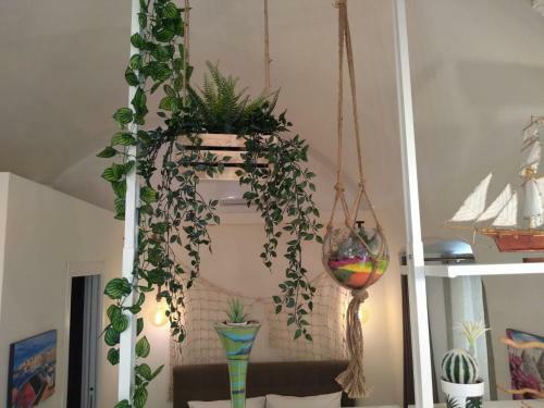 Bed & Breakfast C� De Mess
