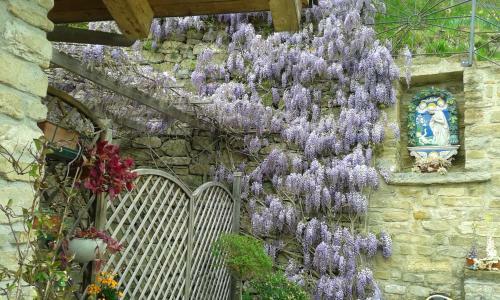 Bed & Breakfast C� D' Fefi