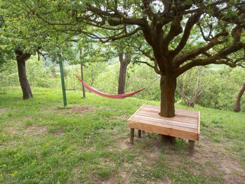 Bed & Breakfast C� D' Fefi