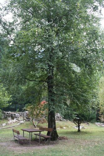 Bed & Breakfast La Piana Dal Sas