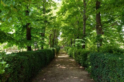 Bed & Breakfast Villa Il Rossignolo