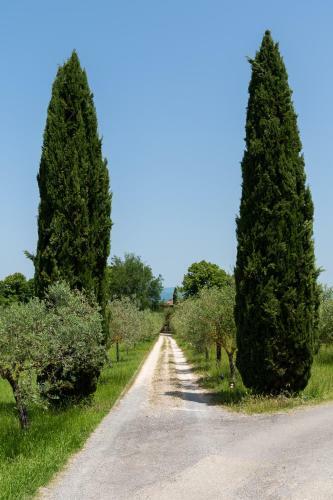 Bed & Breakfast Villa Il Rossignolo