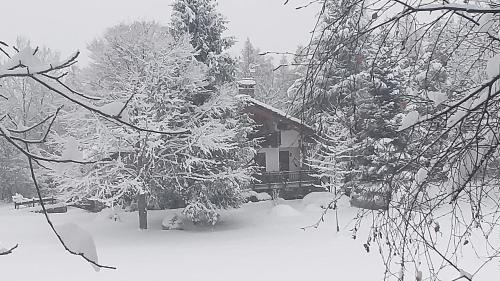 Casa Vacanza '' Pila E Bosco ''