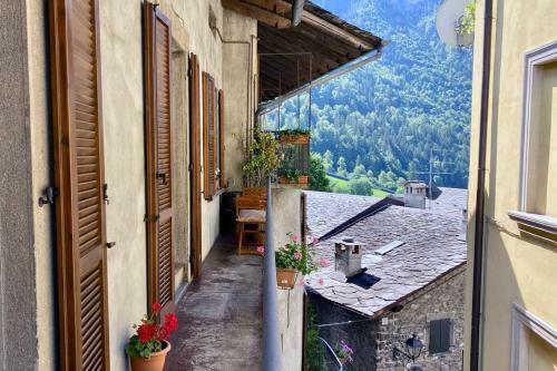 Apartamento Dagli Olivari - Casa Teo