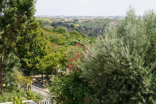 Quinta Das Cam�lias