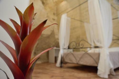 Hostal B&B Fontana La Stella