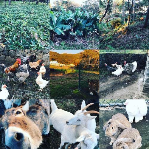 Agroturismo Make It Happen Farm
