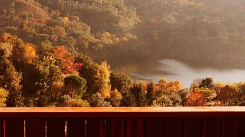 Hotel Agrinho Suites & Spa Ger�s