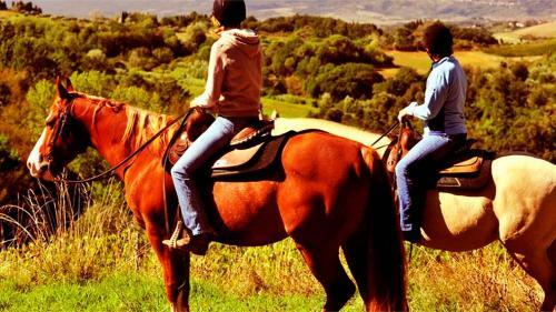 Hotel Agrinho Suites & Spa Ger�s