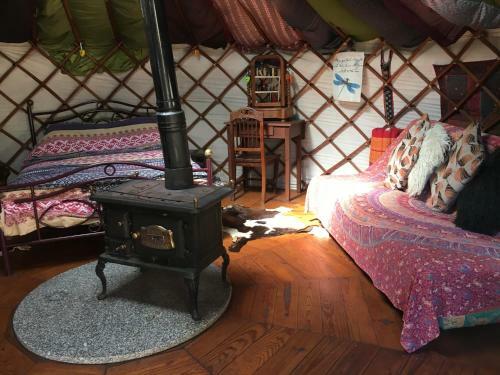 Star Gazing Luxury Yurt With River Views, Off Grid Eco Living