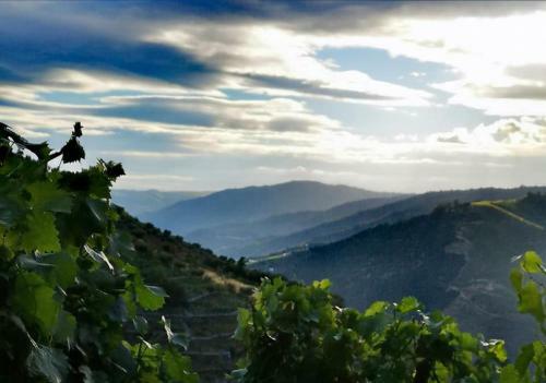 Villa Quinta Das Fontainhas - Douro Valley