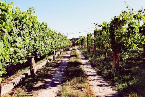 Agroturismo Quinta De Real