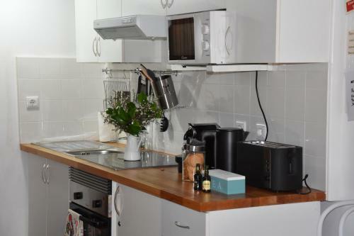 Apartamento Domus Avocat