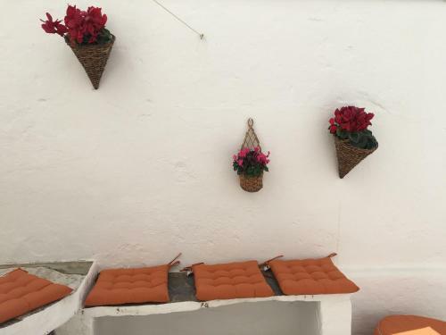 Apartamento Casa Dos Tios