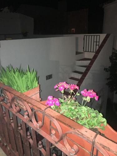 Apartamento Casa Dos Tios