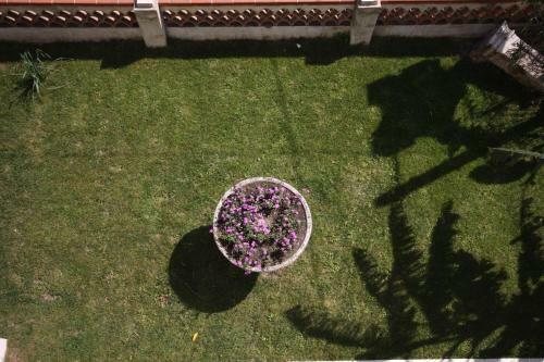 Bed & Breakfast Porta Del Vento