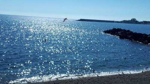 Apartamento Beautiful Naxos House