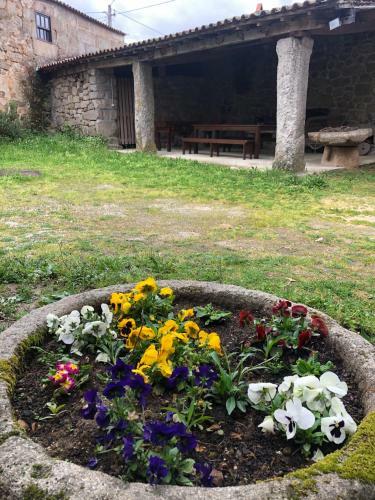 Casas De Selhariz