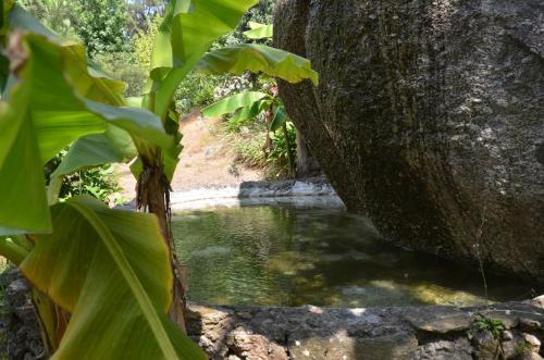 Quinta De S. Vicente 317
