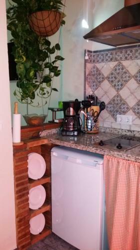 Apartamento Castor Y Polux