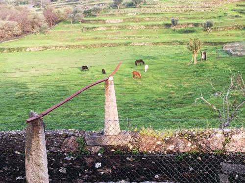 Casas Da Loureira - Casa Do Ant�nio E Pascoal