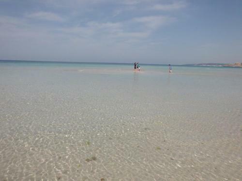 Apartamento Acacia Sul Mare