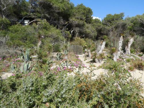 Apartamento Acacia Sul Mare