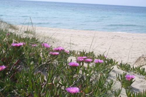 Apartamento Acacia Sul Mare