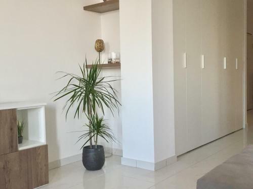 Apartamento Luxury Suite 36