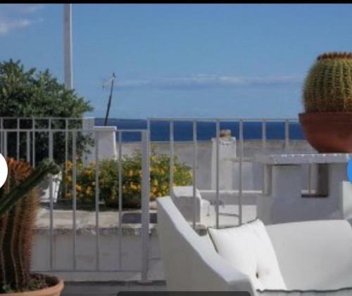 Hostal Casa Del Cactus Luxury Rooms