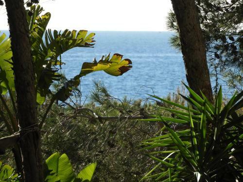 Apartamento Appartamento Yucca Frontemare