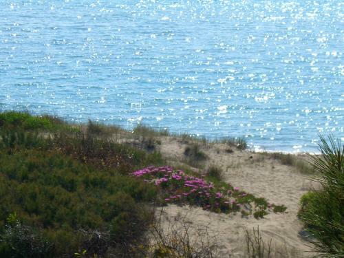 Apartamento Appartamento Yucca Frontemare