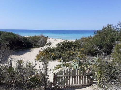 Apartamento Appartamento Yucca Frontemare