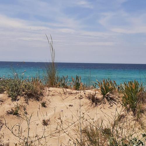 B&B Medusa House Gallipoli
