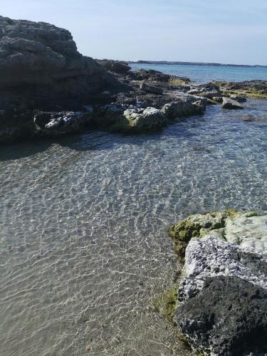 B&B Medusa House Gallipoli