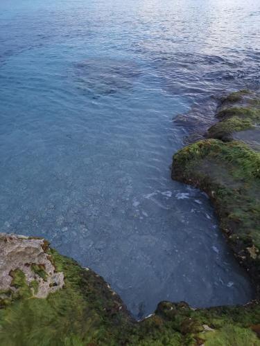 B&B Medusa House Gallipoli