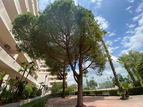 Apartamento Trilocale Sul Mare