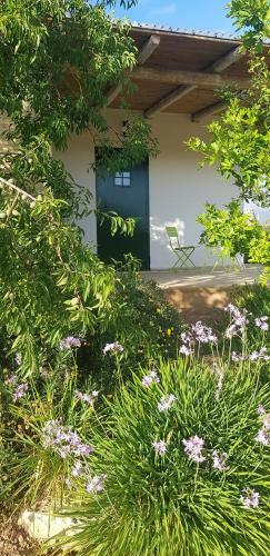 Bed & Breakfast Tenuta La Milogna