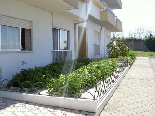 �ncora Apartment
