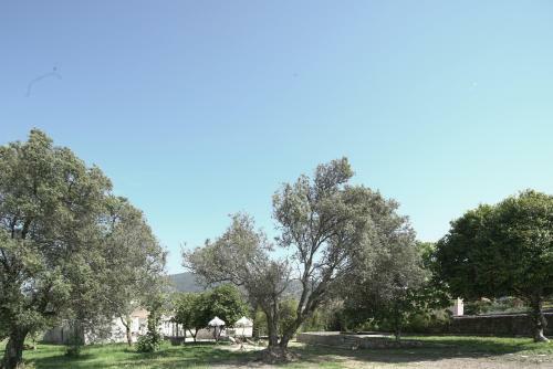 Quintal Country Houses