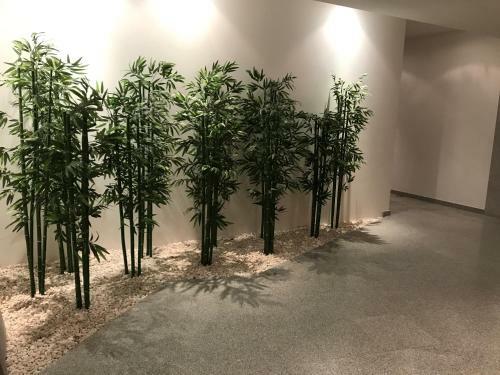 Apartamento Trajadinha
