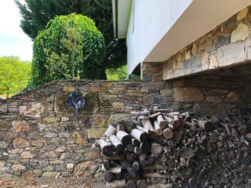 Casa Do Galo / Galo House