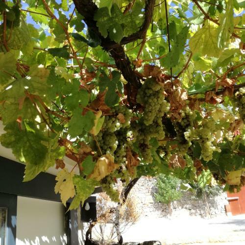 Apartamento Casa Na Quinta De Valinhas